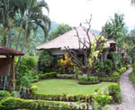 Hidden Paradise Cottage