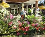 Parigata Villas Resort - Main Lobby
