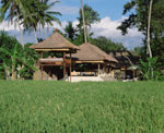TAMU SESEH - VILLA VIEW
